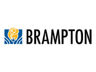 Brampton RRL License Update Statistics preview 1